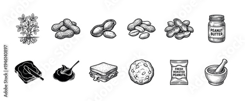 Set of peanut and product illustrations in a vintage black and white engraving style, showing the plant, nuts, butter jar, sandwich, cookie, mortar, and snack pack