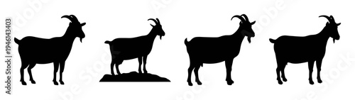 Silhouette goat vector art illustration of goats standing in a row farm animal design stock image