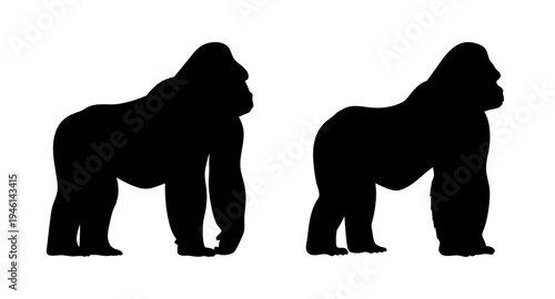 Gorilla silhouette vector art illustration of primates and wildlife animals in black and white design