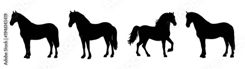 Horse silhouette vector art: equestrian design, black horses, equine illustration, animal art