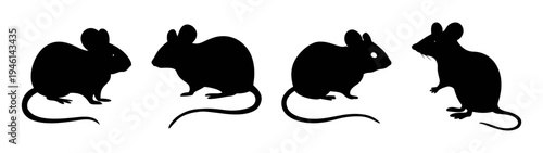 Four black degu silhouette vector graphic perfect for animal lovers and pet store promotions online and print