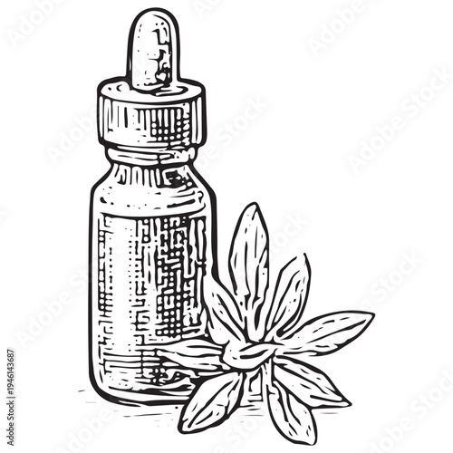 Vintage Herbal Tincture Dropper Bottle Illustration Natural Medicine Extract Container