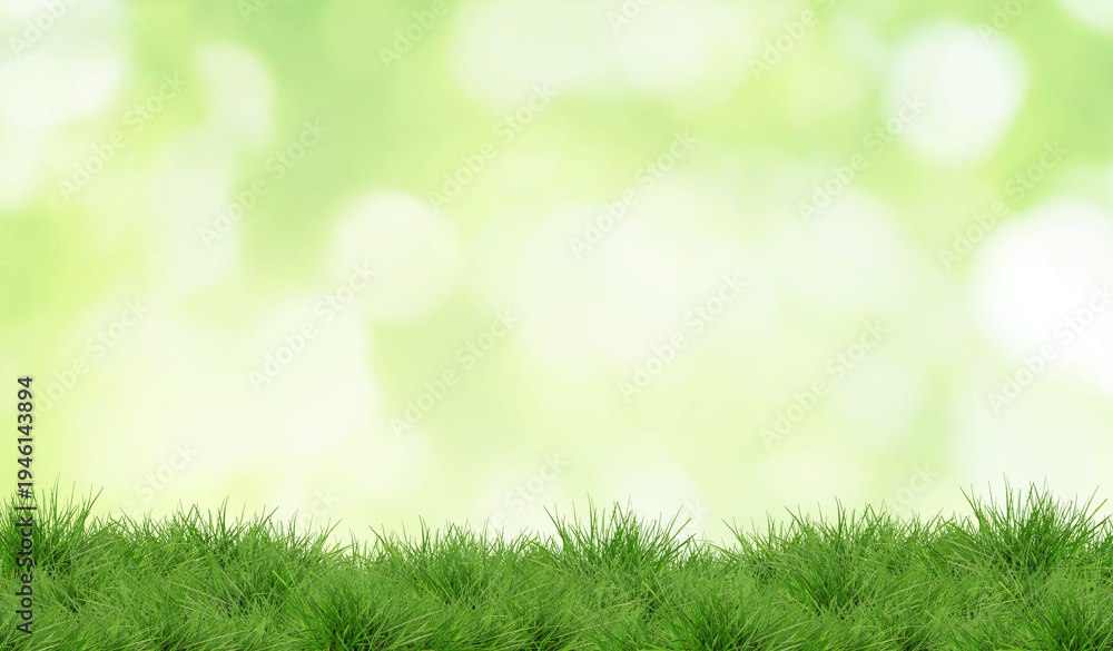 Obraz premium Lush green grass against blurred background with bokeh lights, banner design. Spring season