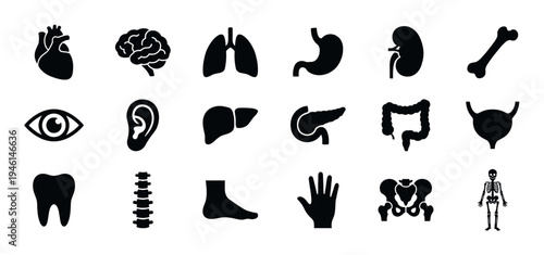 Collection of black human anatomy icons featuring internal organs, bones, and body parts like the heart, brain, lungs, skeleton, and eye in a simple minimalist flat design
