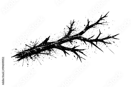 Black splattered branch with thorns on white background for creative design