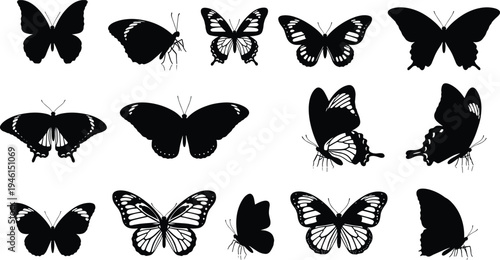 Mega Collection of Vector Assets Featuring Mens Apparel Flat Sketches Diverse Human Silhouettes Universal Public Signage Icons Intellectual Property Symbols and Butterfly Silhouettes for Design