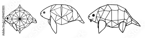 Geometric tardigrade set with symmetrical line art of a microscopic biology theme featuring white background, modern style, detailed limbs with segmented body and clear contours