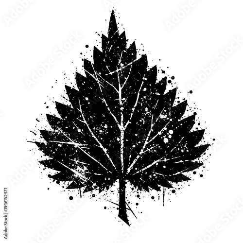 Black silhouette of a maple leaf with paint splatters on white background