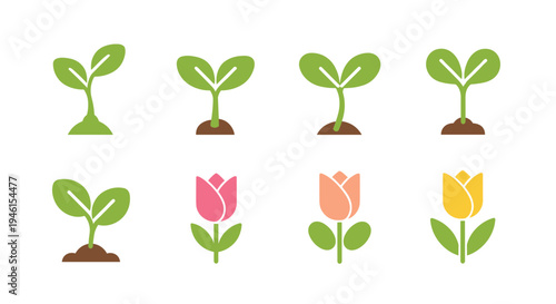 Colorful illustrations of growing plants and flowers.