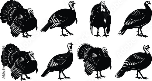 Black silhouettes of turkeys in multiple poses, standing, walking, detailed feather patterns, fanned tails, wildlife bird posture study, vector illustration artwork design