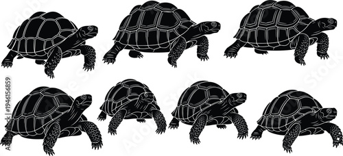 Black silhouettes of tortoises in multiple poses, standing, walking, detailed shell texture, animal anatomy study, wildlife vector illustration, nature inspired artwork