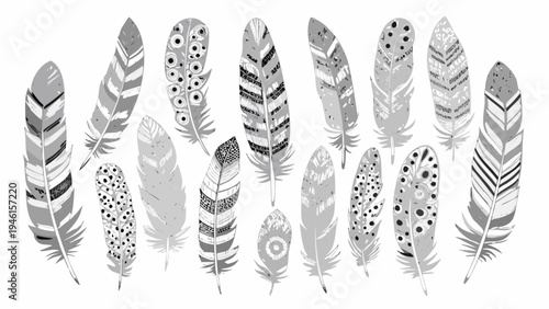 A collection of decorative feathers in grayscale arranged on a white background