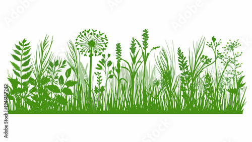 A vibrant green illustration depicts a variety of wildflowers and grasses