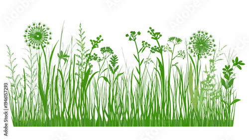 A lush vibrant arrangement of green grasses and flowering meadow plants