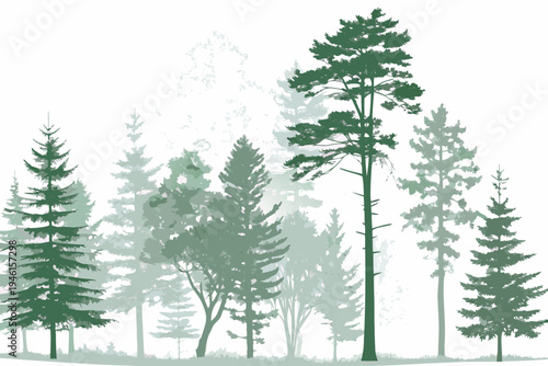 Stylized illustration of a dense evergreen forest with varying tree heights