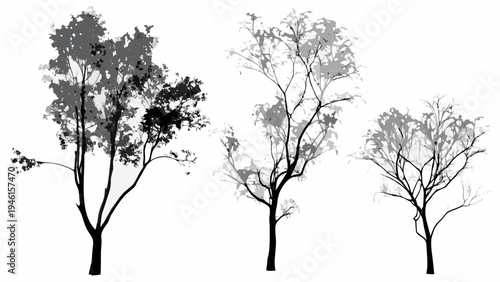 Silhouetted trees against a white background showcasing varying densities