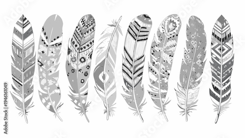 A collection of detailed patterned feathers in grayscale tones