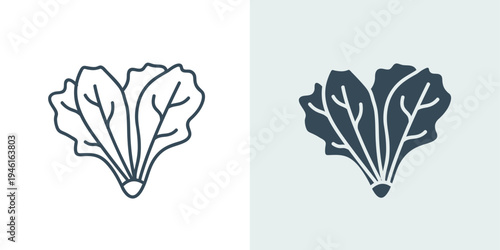 Lettuce vegetable icon in line and solid vector style