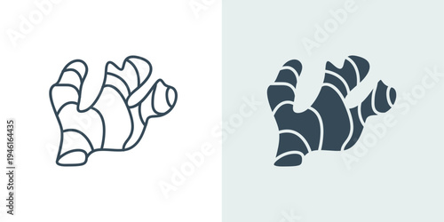 Ginger root icon vector in line and solid style
