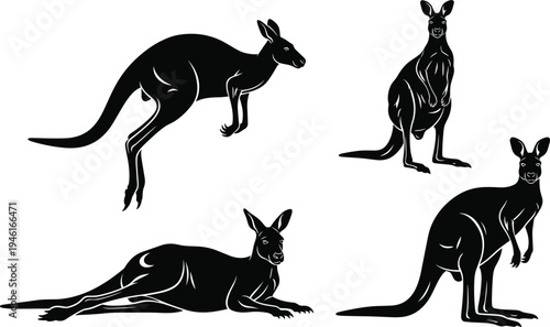 Set of black kangaroo silhouettes featuring various dynamic jumping standing and resting poses isolated on white background for Australian wildlife design.