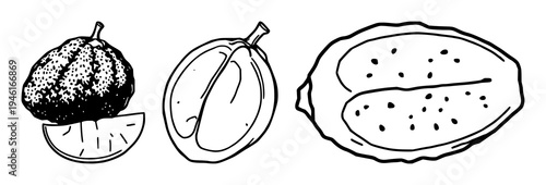 Jackfruit set with bold black border line art illustration isolated on white background featuring exotic fruit theme, whole fruit, flat icon with botanical and tropical fruit