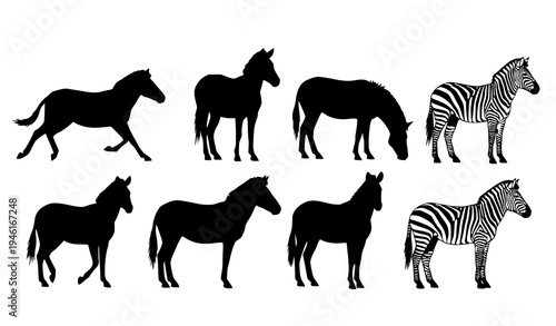 Set of zebra silhouette animals in different poses wildlife safari vector isolated on white