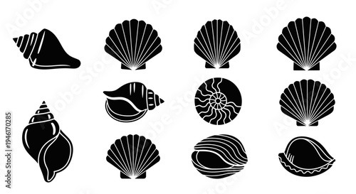 Collection of diverse seashells and marine mollusk shells, black silhouettes on white background