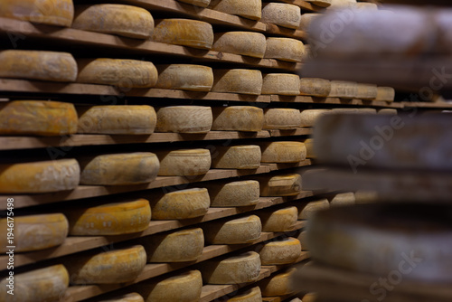 Bilde på lerret Cheese aging artisan shelves dairy cheese wheels aging cellar ripening productio