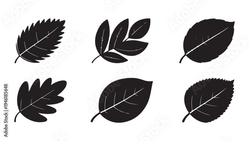 Various leaf shapes and foliage silhouettes collection for nature branding and ecological graphic elements