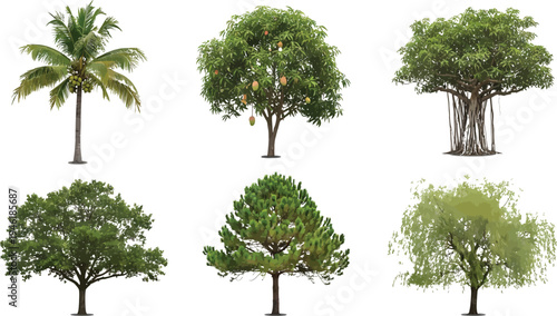 Detailed Collection of Diverse Tree Species Realistic Style for Landscape Design and Architectural Rendering Vector Illustration
