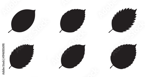 Minimalist solid leaf silhouettes set featuring diverse edges and forms for modern botanical illustrations