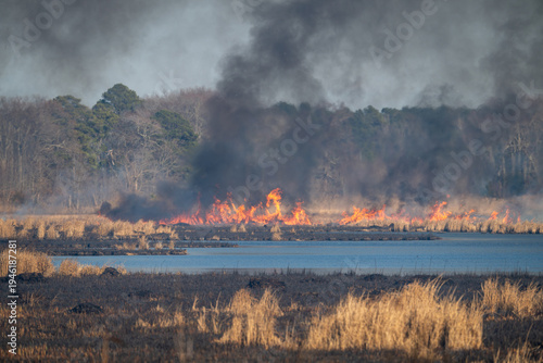 Controlled burn