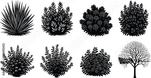 Collection of bush and tree silhouettes with detailed foliage, garden shrubs and ornamental plants isolated for landscape design, nature illustration and botanical decoration