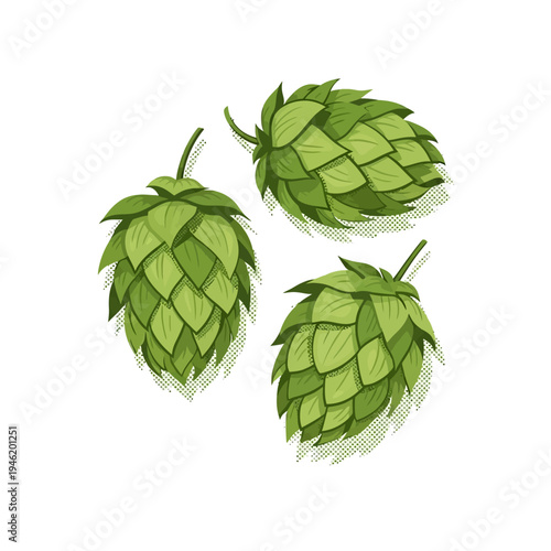 Vector illustration of three green hop cones, a key ingredient in brewing, isolated on a white background, perfect for craft beer design