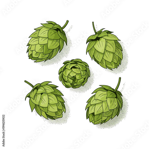 A whimsical vector illustration of five fresh green hops, presented in a delightful, hand-drawn style, perfect for artisanal brewing and craft beer aesthetics