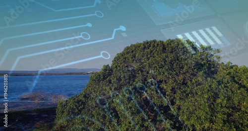 Panning camera revealing large dense coastal shrub at shoreline, with microchip overlay appearing