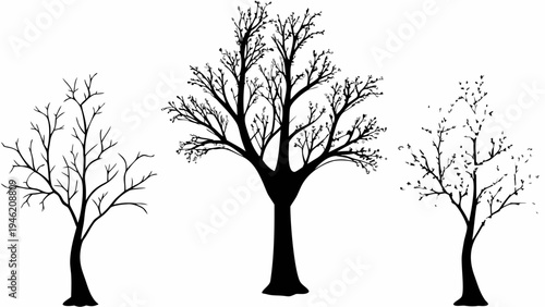 A set of tree silhouettes in various stages of growth and decay on a white background