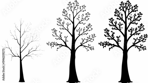 A set of tree silhouettes in different stages of growth on a white background