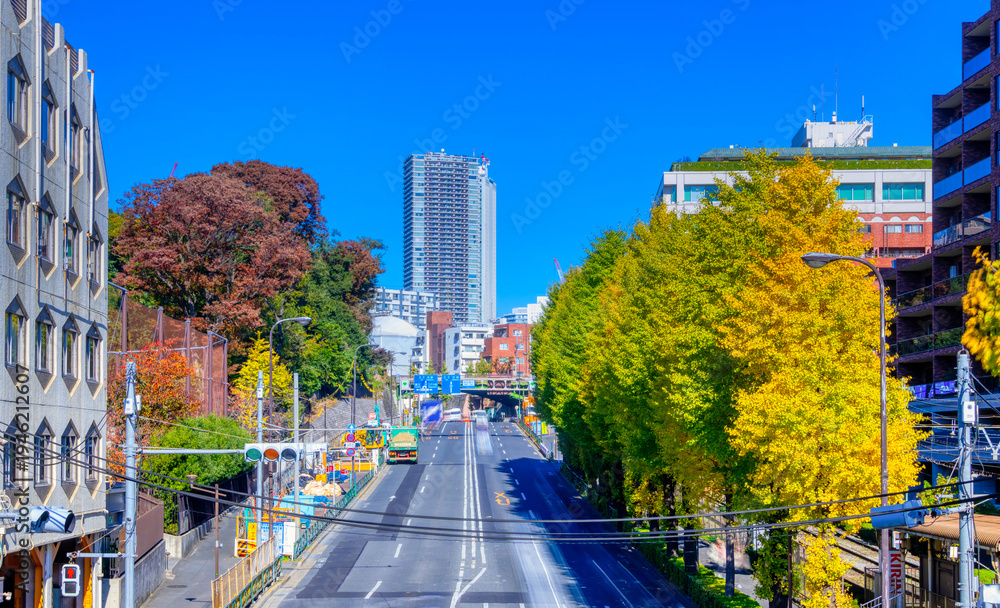 Naklejka premium 秋の東京・明治通り
