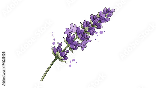 Watercolor Lavender Sprig Illustration for Botanical & Wellness Designs
