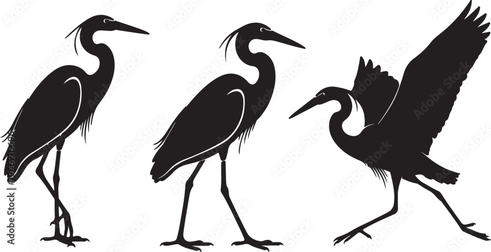 Fototapeta premium Heron silhouette collection isolated on white background vector set.