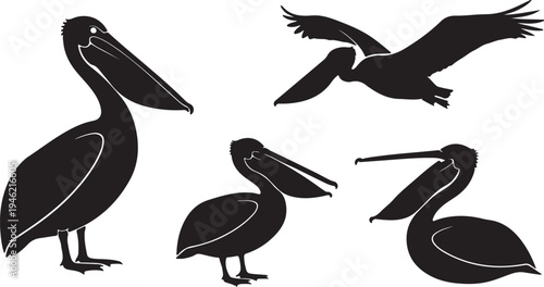 Pelican silhouette collection isolated on white background vector set.