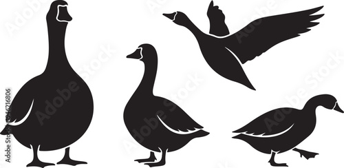 Goose silhouette collection isolated on white background vector set.
