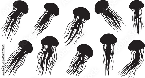Jellyfish Silhouette Set Ocean Marine Creature Vector Illustration