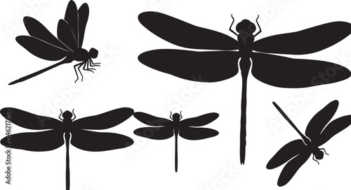 Dragonfly Silhouette Set Flying Insect Nature Vector Illustration