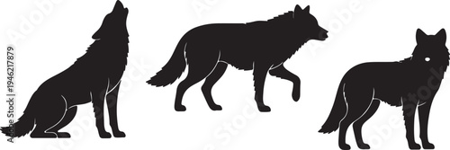 Wolf Silhouette Set Wild Predator Animal Vector Illustration