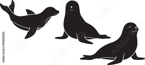 Seal Silhouette Set Marine Mammal Ocean Animal Vector Illustration