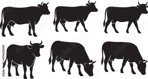 Cow Silhouette Set Farm Livestock Animal Vector Illustration