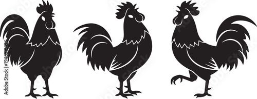 Rooster Silhouette Set Farm Poultry Bird Vector Illustration