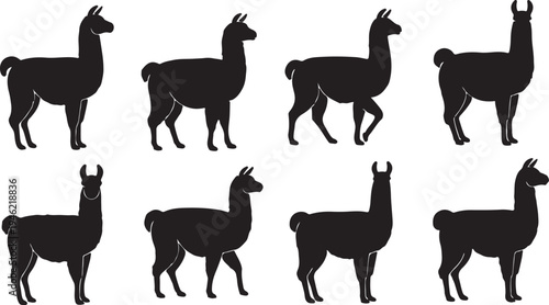 Alpaca Silhouette Set South American Camelid Farm Animal Vector Illustration